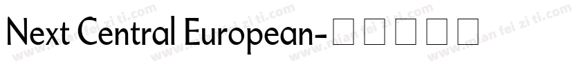 Next Central European字体转换